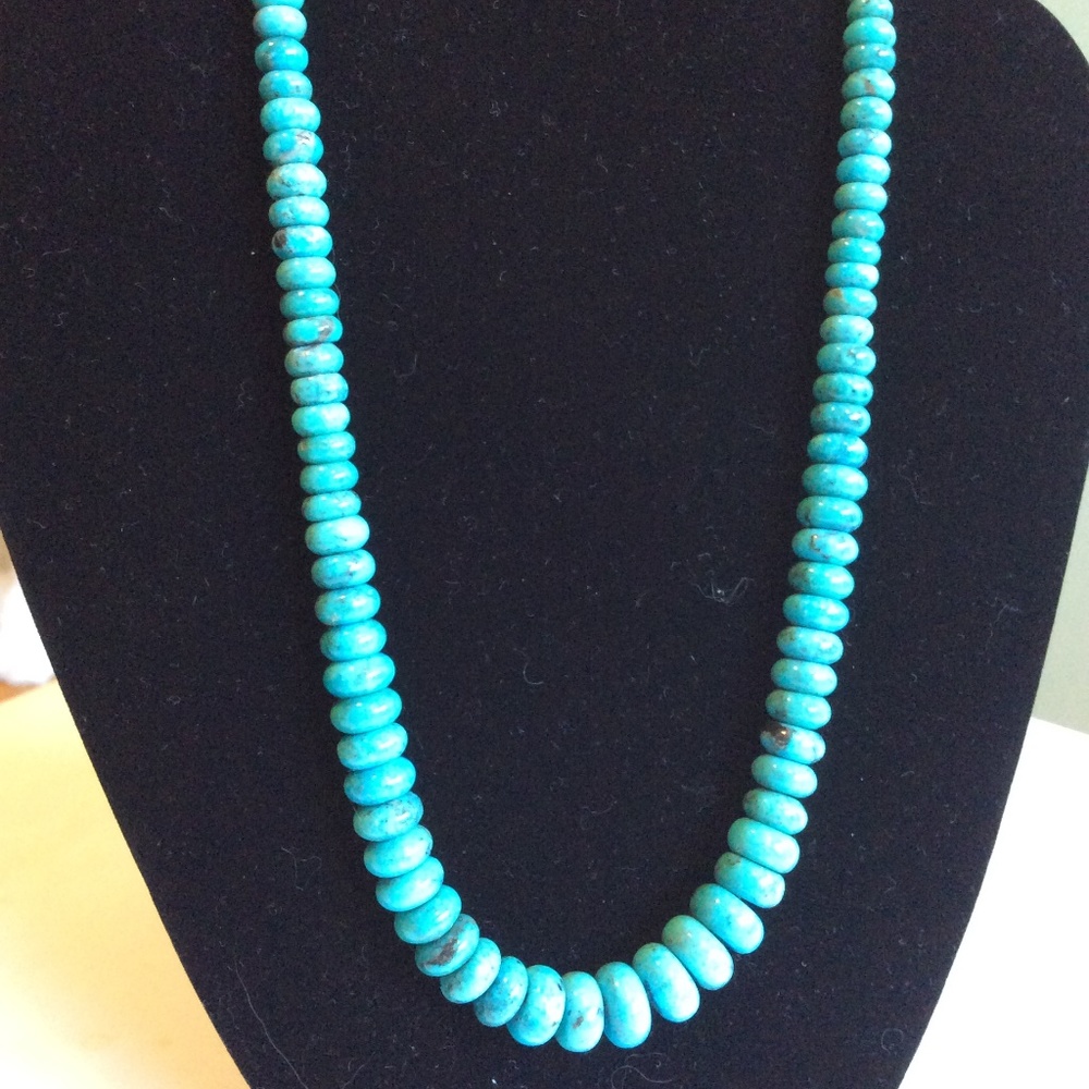 Turquoise Necklace with Silver Toggle Closure